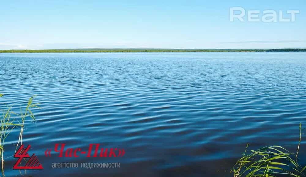 Беларусь, Витебская область, Лепельский район, Домжерицкий сельсовет, деревня Волова Гора, 18, фото 44