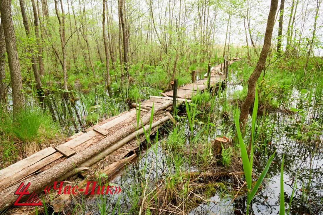 Беларусь, Витебская область, Поставский район, Лынтупский сельсовет, деревня Роскошь, Роскошная улица, 15, фото 33