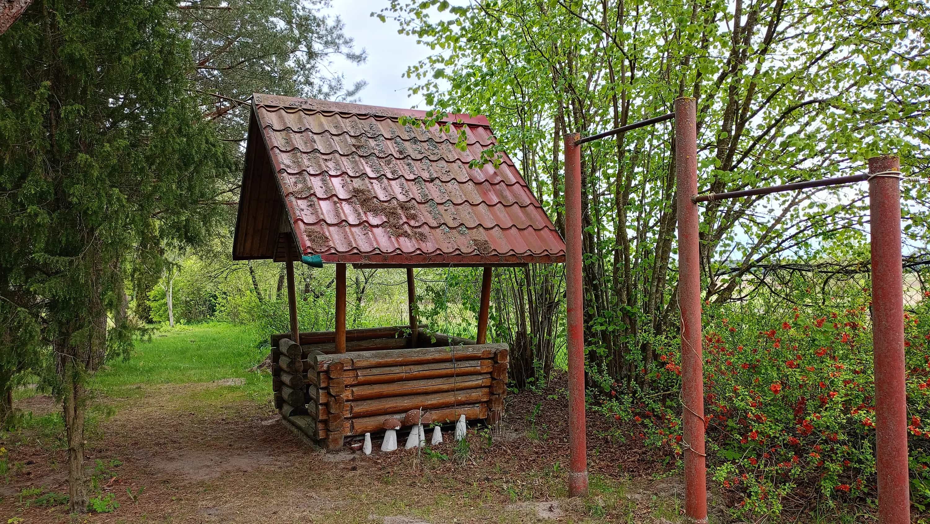 Беларусь, Минская область, Мядельский район, Занарочский сельсовет, деревня Проньки, 33, фото 17