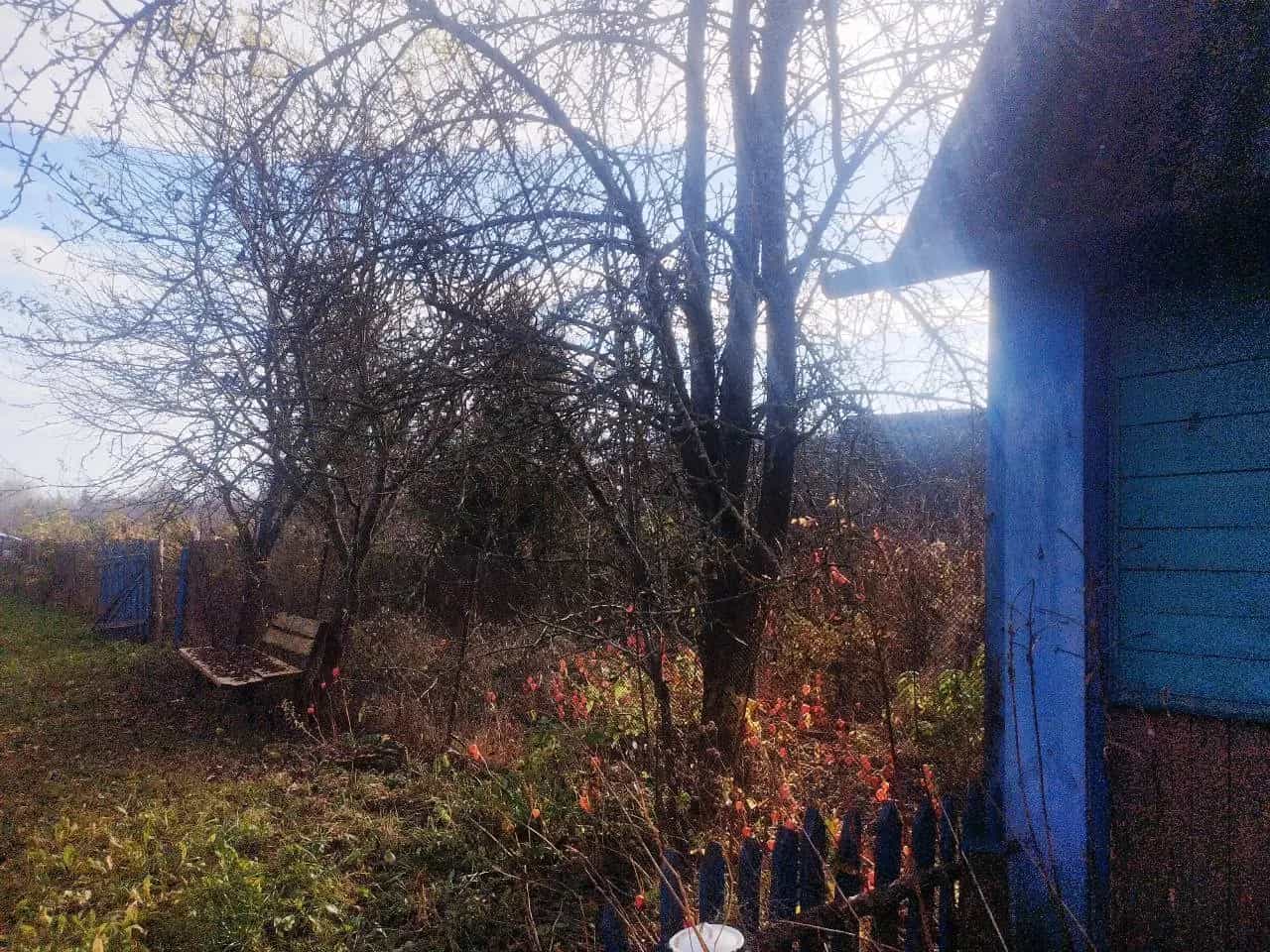 Беларусь, Витебская область, Чашникский район, Новозарянский сельсовет, деревня Гурец, Гурецкая улица, 6, фото 10