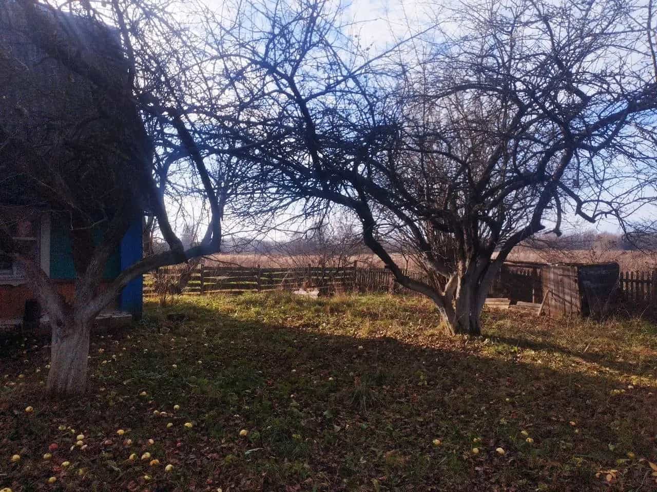 Беларусь, Витебская область, Чашникский район, Новозарянский сельсовет, деревня Гурец, Гурецкая улица, 6, фото 12