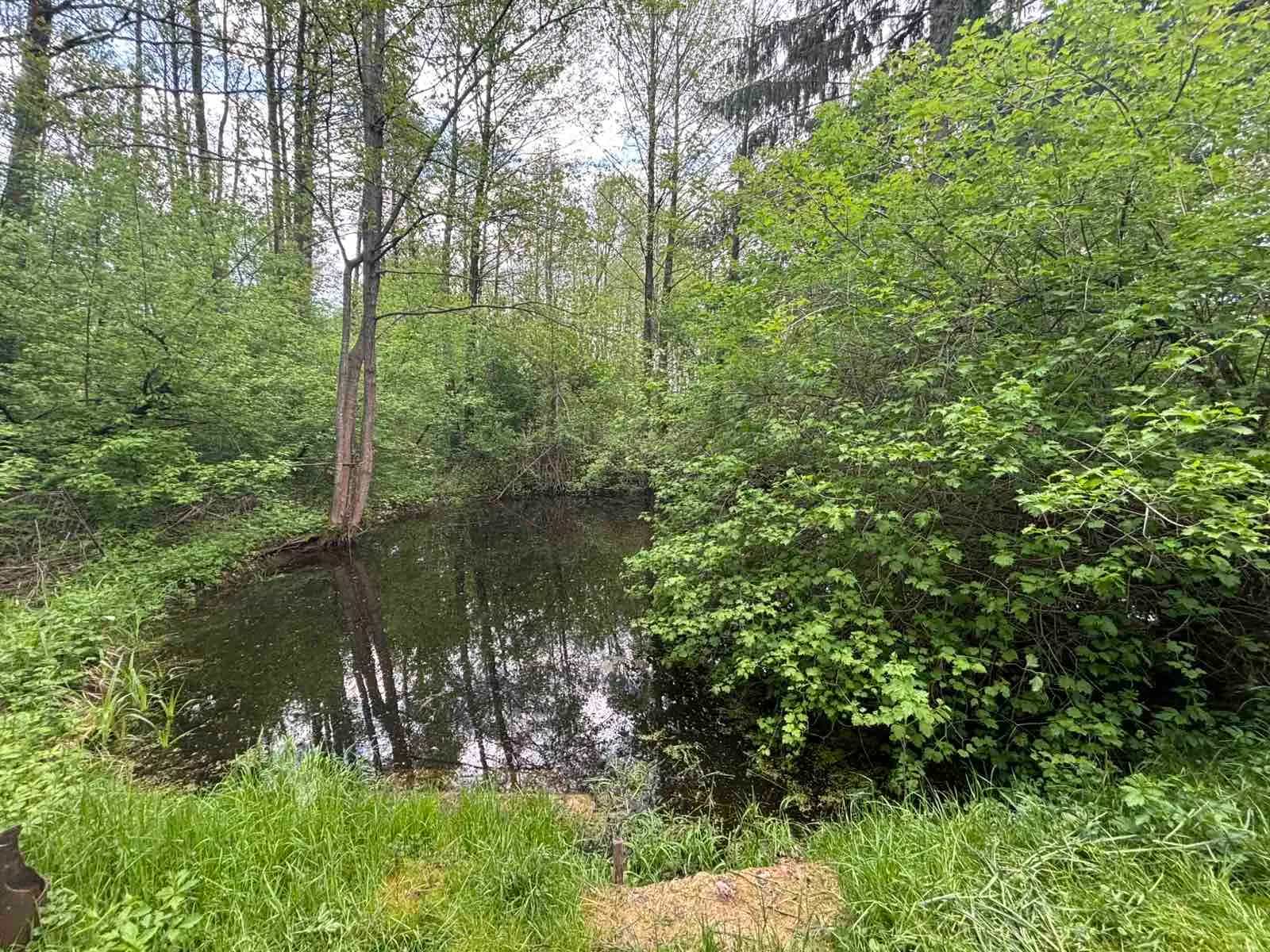 Беларусь, Гродно, улица Меречская Застава, 18, фото 10