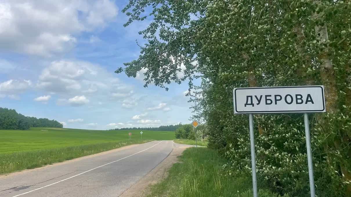Беларусь, Минский район, Горанский сельсовет, деревня Дуброва, Речная улица, 3, фото 12