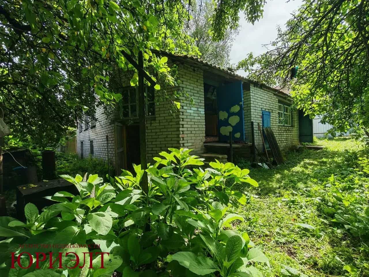Беларусь, Могилёвская область, Горецкий район, Горки, улица Димитрова, 7, фото 3