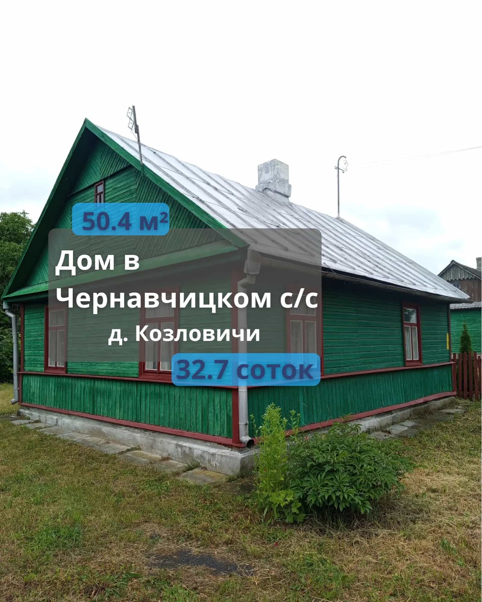 Беларусь, Брестский район, Чернавчицкий сельсовет, деревня Козловичи, Белорусская улица, 58
