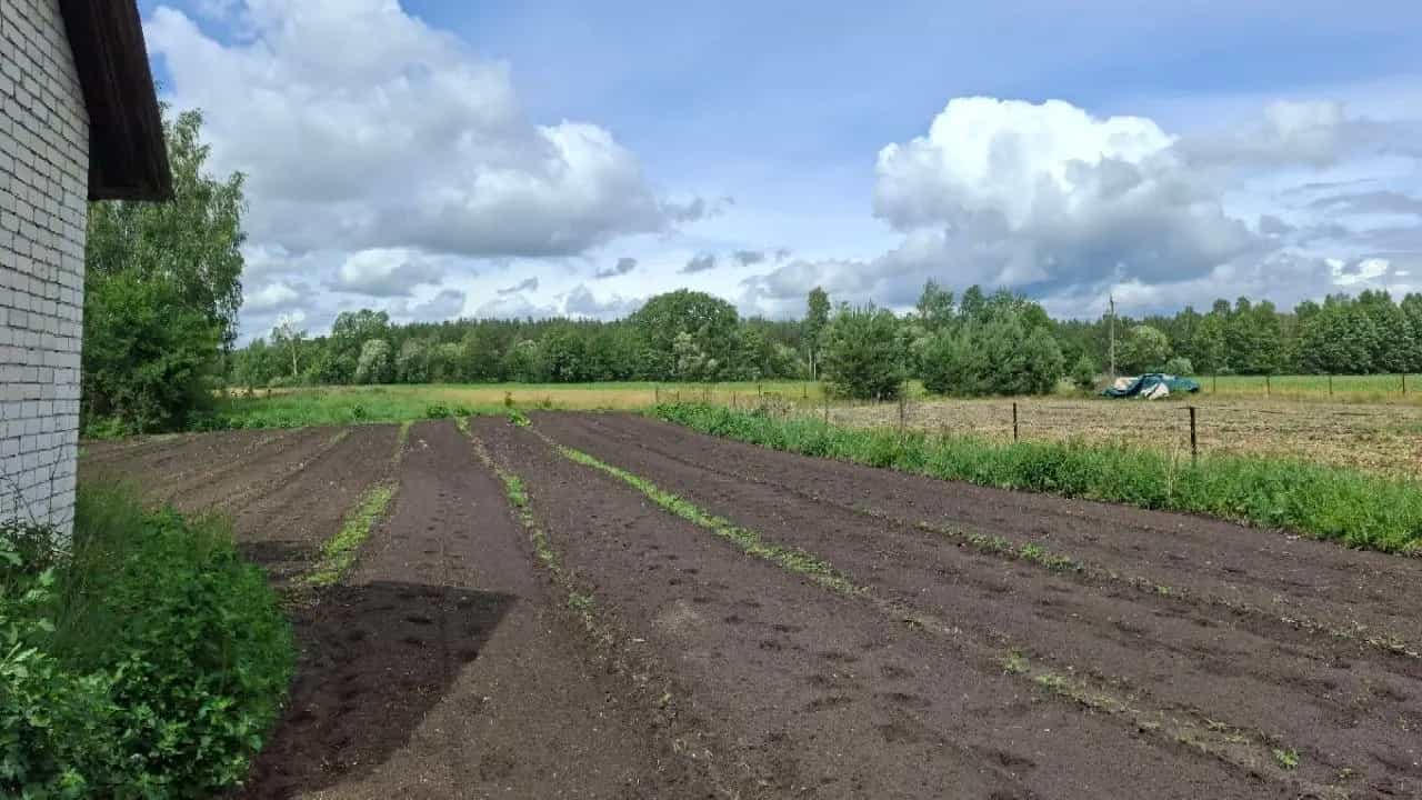 Беларусь, Брестская область, Жабинковский район, Ленинский сельсовет, деревня Чижевщина, Центральная улица, 71, фото 2