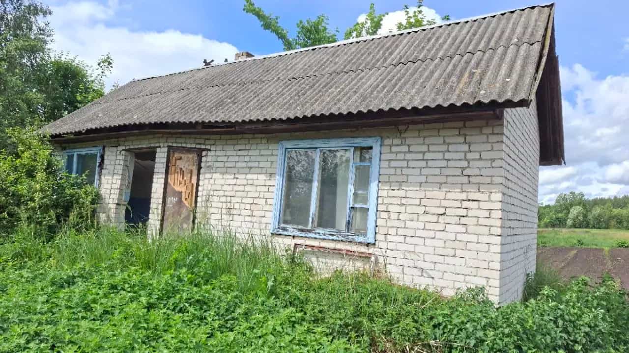Беларусь, Брестская область, Жабинковский район, Ленинский сельсовет, деревня Чижевщина, Центральная улица, 71, фото 3