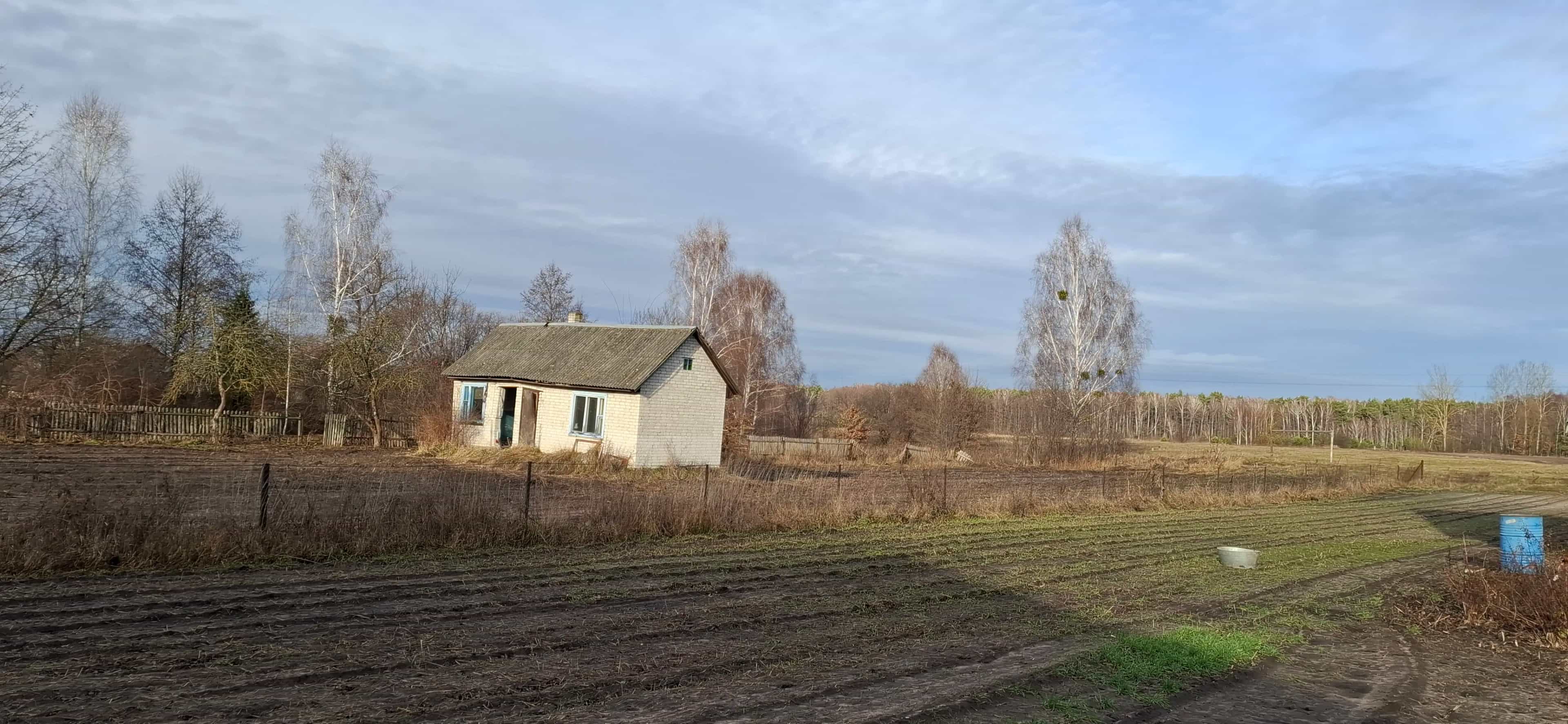 Беларусь, Брестская область, Жабинковский район, Ленинский сельсовет, деревня Чижевщина, Центральная улица, 71, фото 18