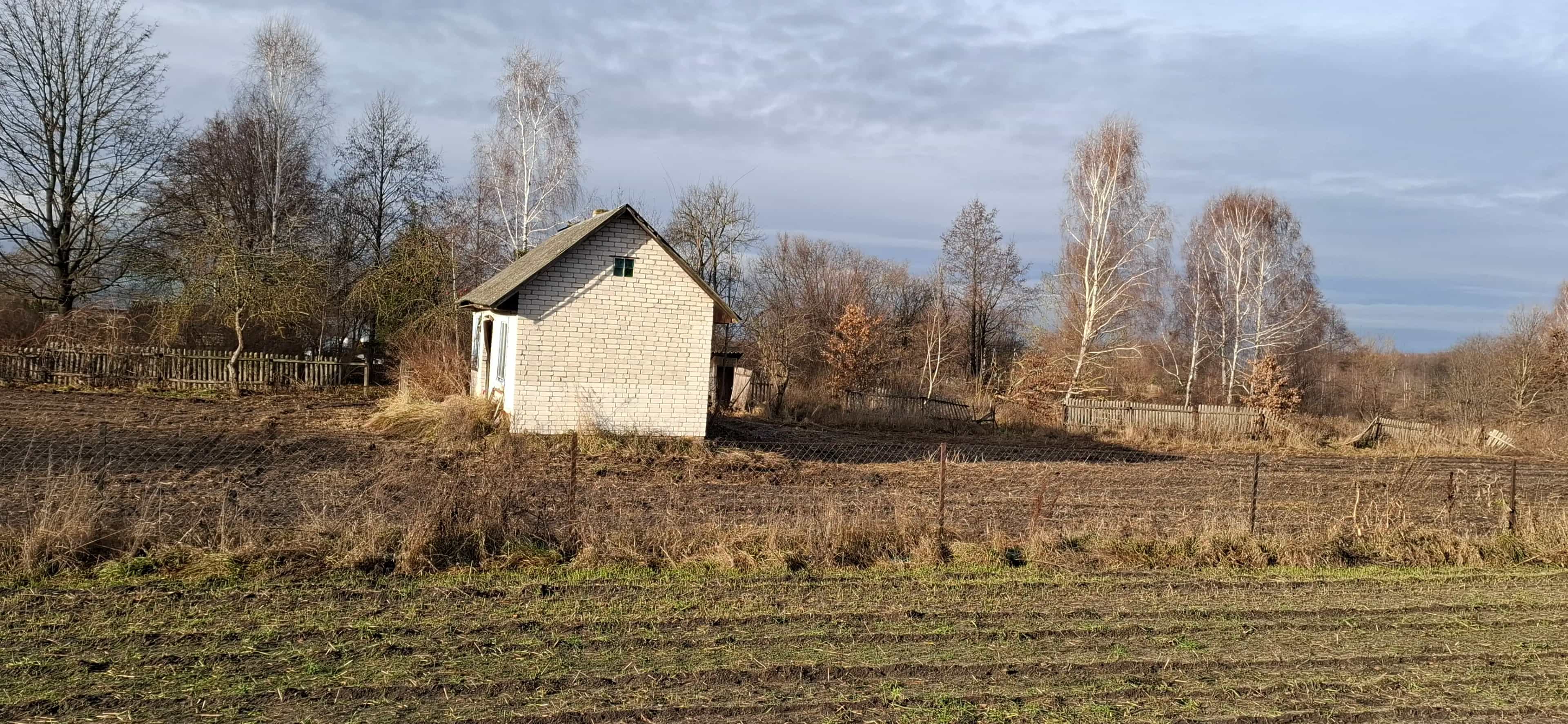 Беларусь, Брестская область, Жабинковский район, Ленинский сельсовет, деревня Чижевщина, Центральная улица, 71, фото 19