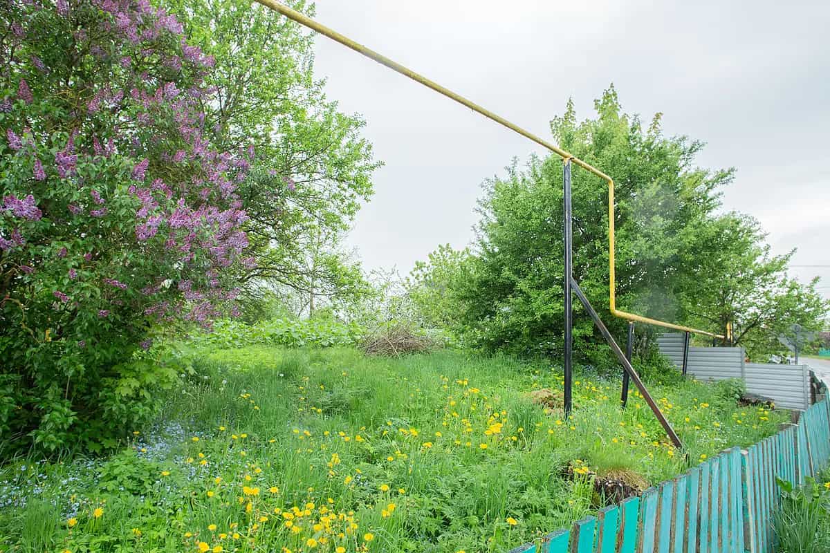 Беларусь, Минская область, Воложинский район, Першайский сельсовет, агрогородок Першаи, улица Карла Маркса, 10А, фото 2