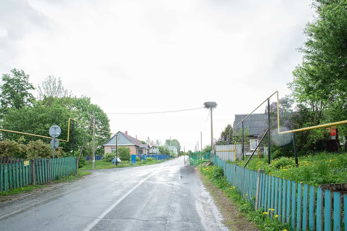 Беларусь, Минская область, Воложинский район, Першайский сельсовет, агрогородок Першаи, улица Карла Маркса, 10А, фото 7