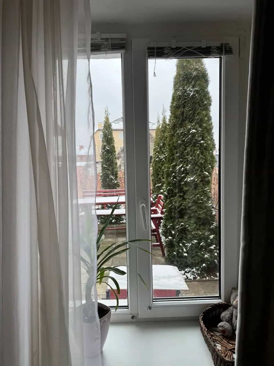 Беларусь, Брест, улица Васнецова, 33, фото 25