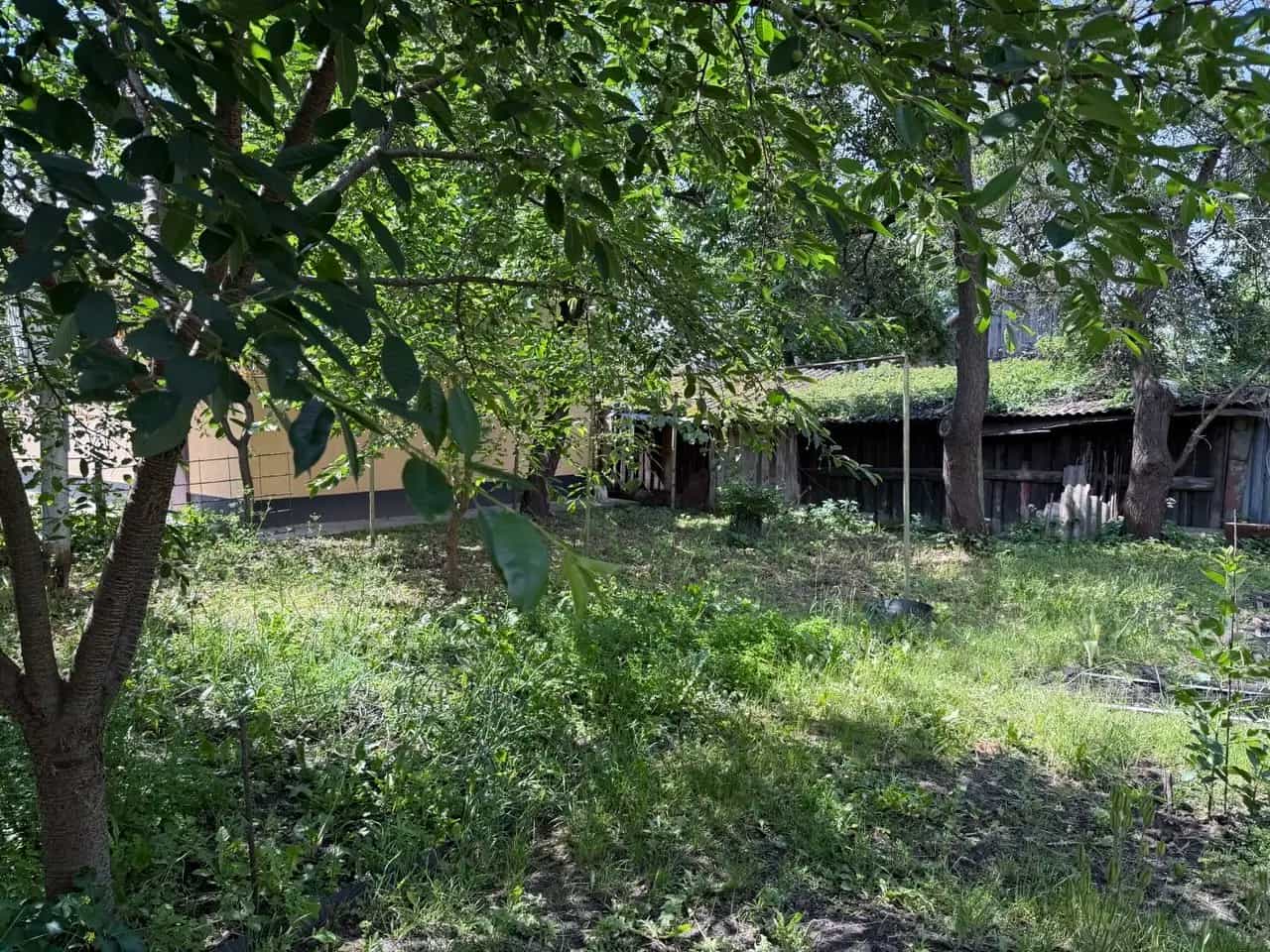 Беларусь, Брестская область, Пинск, улица Пушкина, 19, фото 7