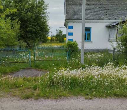 Беларусь, Гродненская область, Берестовицкий сельсовет, деревня Данилки, 35, фото 4