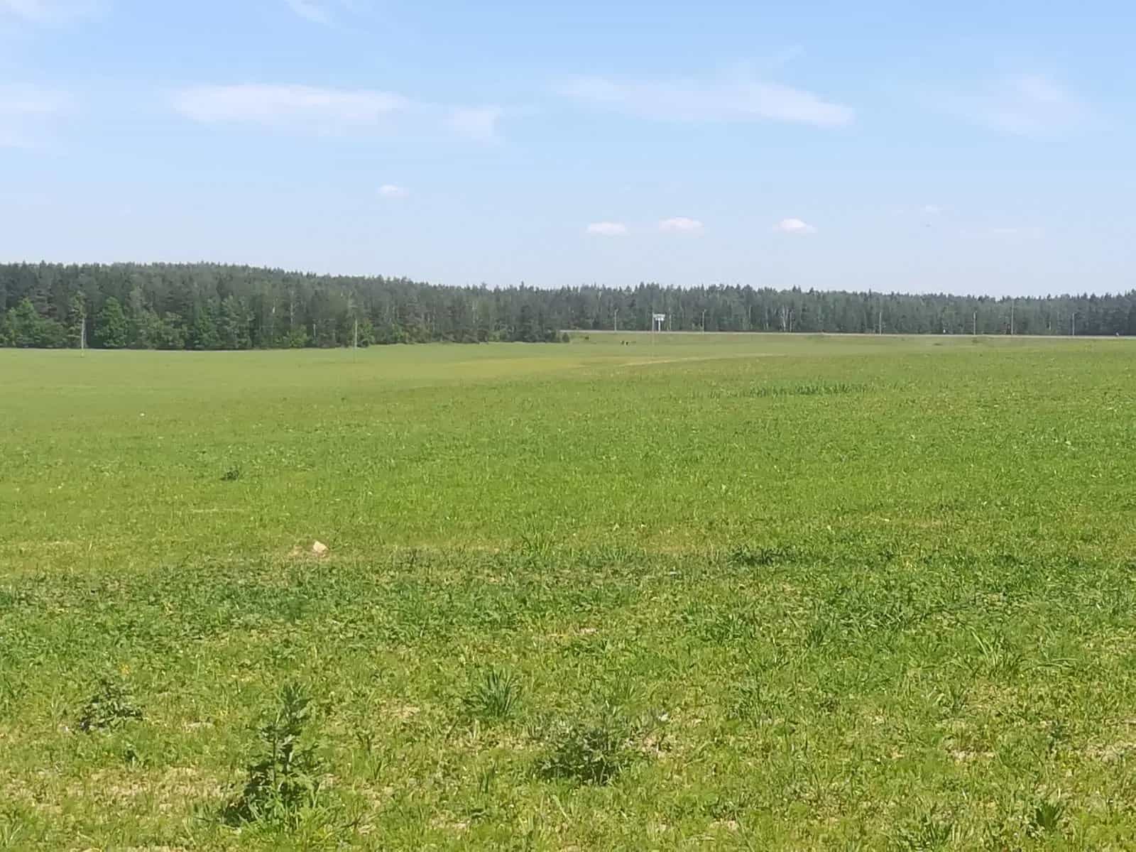 Беларусь, Минская область, Смолевичский район, Заболотский сельсовет, деревня Смольница, улица Ганнина Горка, 1, фото 2