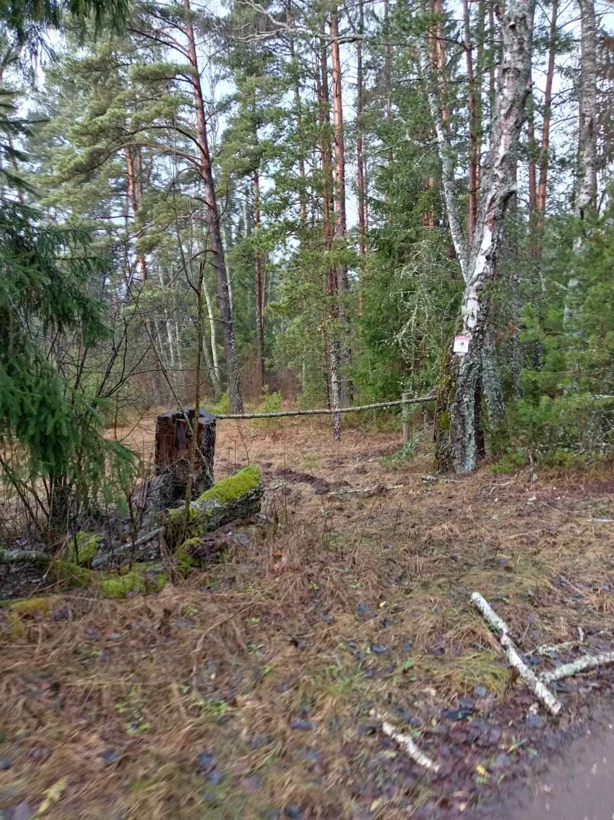 Беларусь, Минская область, Воложинский район, Ивенецкий сельсовет, агрогородок Сивица, Ивенецкая улица, 8, фото 11