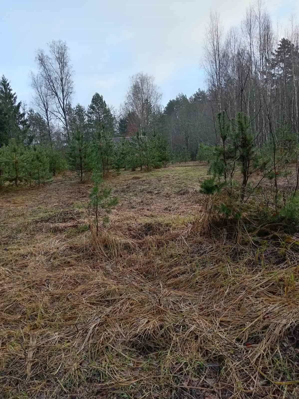 Беларусь, Минская область, Воложинский район, Ивенецкий сельсовет, агрогородок Сивица, Ивенецкая улица, 8, фото 14