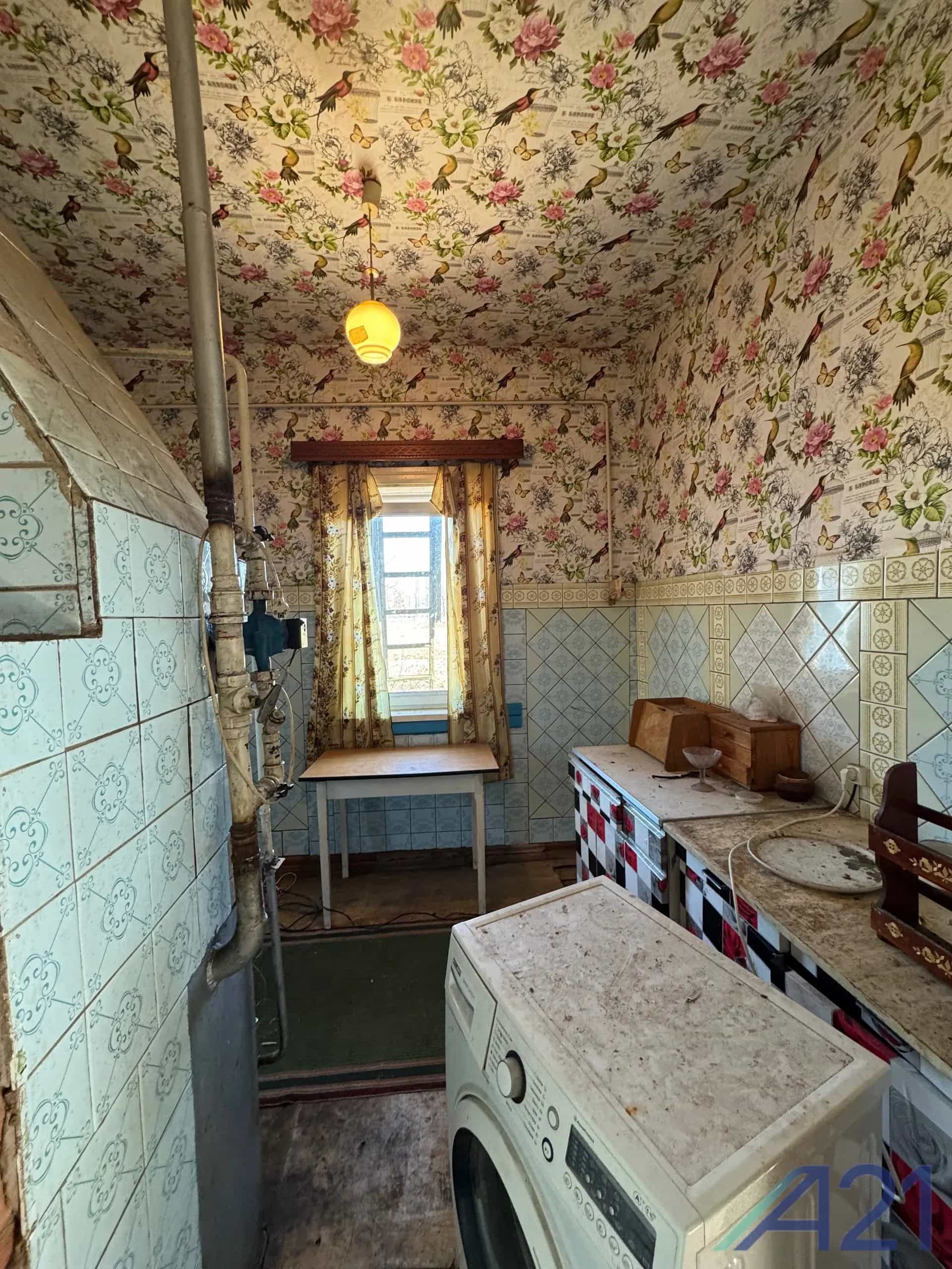 Беларусь, Могилёвская область, Кировский район, Павловичский сельсовет, агрогородок Барсуки, Центральная улица, 30, фото 11