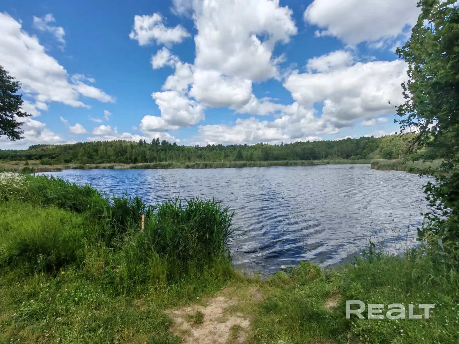 Беларусь, Гродненская область, Ошмянский район, агрогородок Гольшаны, улица Л.П. Финковской, 12, фото 12