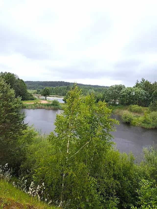 Беларусь, Гродненская область, Ошмянский район, агрогородок Гольшаны, улица Л.П. Финковской, 12, фото 13