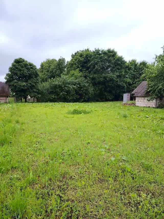 Беларусь, Гродненская область, Ошмянский район, агрогородок Гольшаны, улица Л.П. Финковской, 12, фото 26