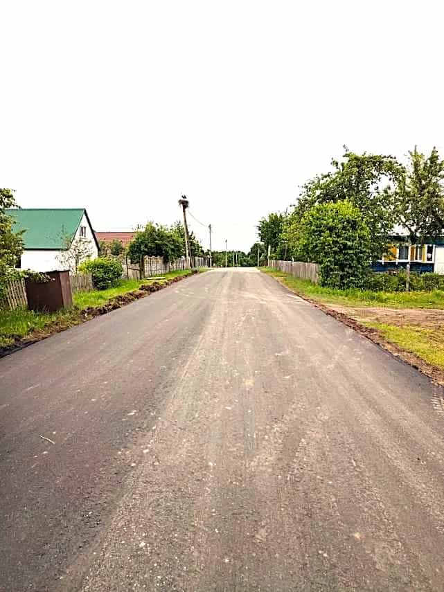 Беларусь, Гродненская область, Ошмянский район, агрогородок Гольшаны, улица Л.П. Финковской, 12, фото 27