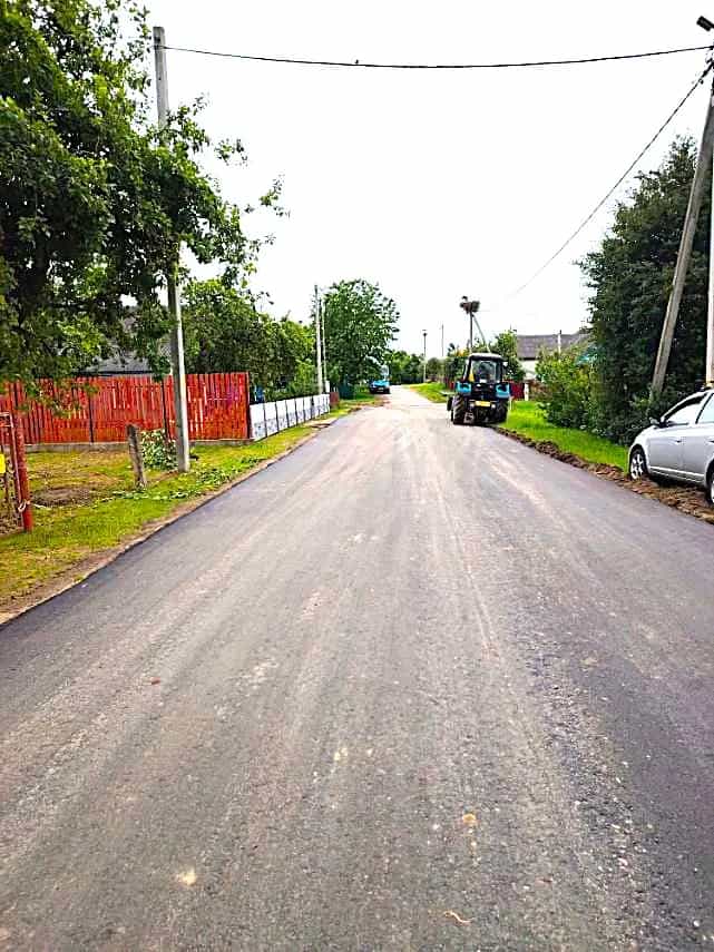 Беларусь, Гродненская область, Ошмянский район, агрогородок Гольшаны, улица Л.П. Финковской, 12, фото 28