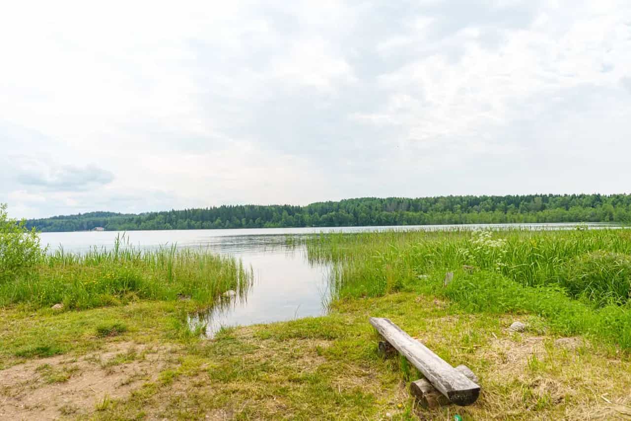 Беларусь, Витебская область, Докшицкий район, Бегомльский сельсовет, деревня Домашковичи, Санаторная улица, 32А, фото 16