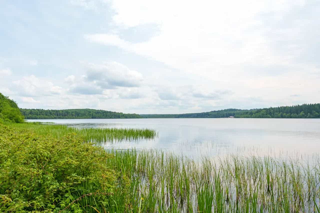 Беларусь, Витебская область, Докшицкий район, Бегомльский сельсовет, деревня Домашковичи, Санаторная улица, 32А, фото 17