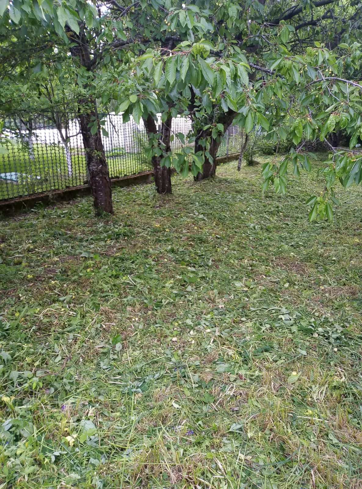 Беларусь, Гродненский район, Коптёвский сельсовет, СТ Энергетик-5, 70