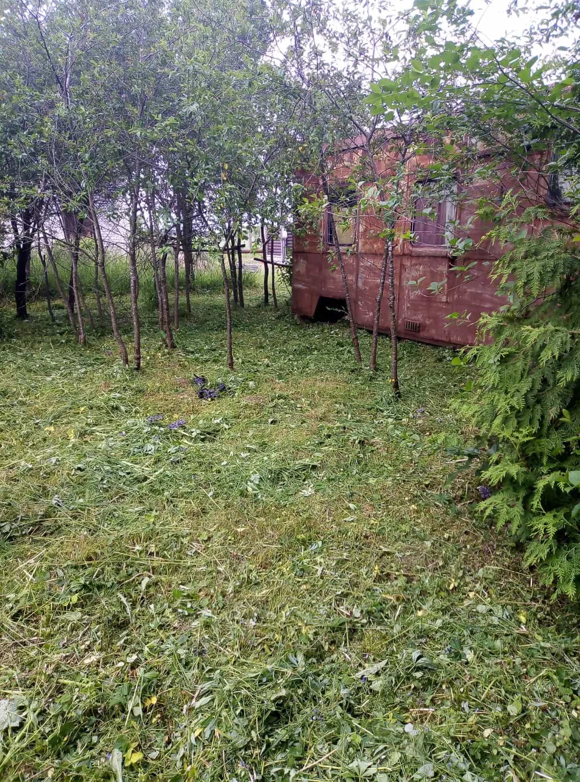 Беларусь, Гродненский район, Коптёвский сельсовет, СТ Энергетик-5, 70, фото 2