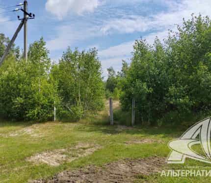 Беларусь, Брестский район, Знаменский сельсовет, СТ Берёзка, 38, фото 5