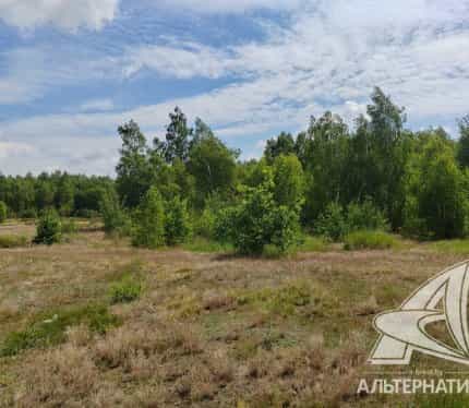 Беларусь, Брестский район, Знаменский сельсовет, СТ Берёзка, 38, фото 6