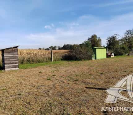 Беларусь, Брестский район, Знаменский сельсовет, СТ Берёзка, 38, фото 9