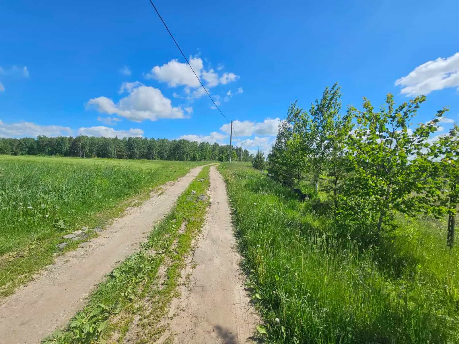 Беларусь, Минский район, Папернянский сельсовет, деревня Якубовичи, Луговая улица, 6А
