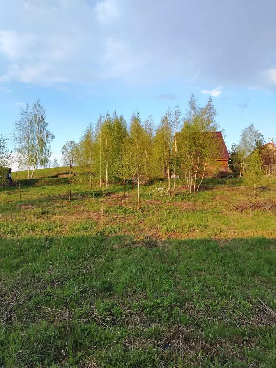 Беларусь, Минская область, Смолевичский район, Усяжский сельсовет, СТ Звезда, 13, фото 3