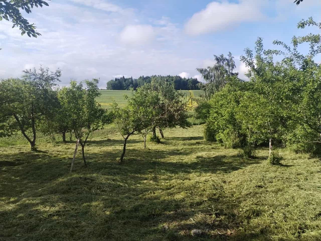 Беларусь, Минский район, Горанский сельсовет, деревня Капличи, 5А, фото 3