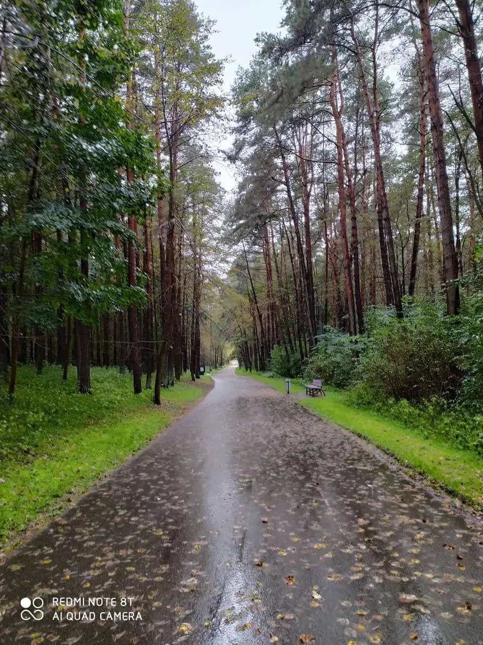 Беларусь, Гродно, улица Советских Пограничников, 114, фото 3