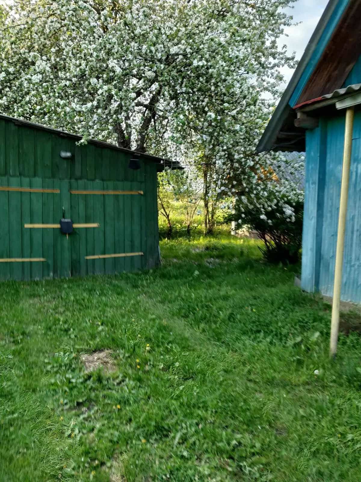 Беларусь, Минская область, Вилейский район, Ижский сельсовет, деревня Застенки, Луговая улица, 1, фото 5