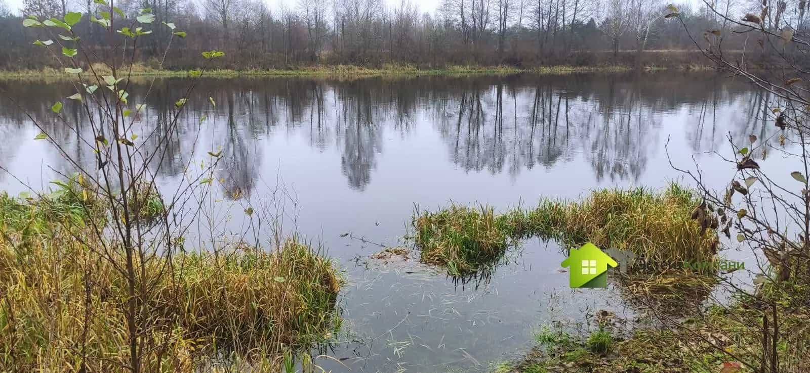 Беларусь, Гродненская область, Ивьевский сельсовет, агрогородок Морино, Центральная улица, 217