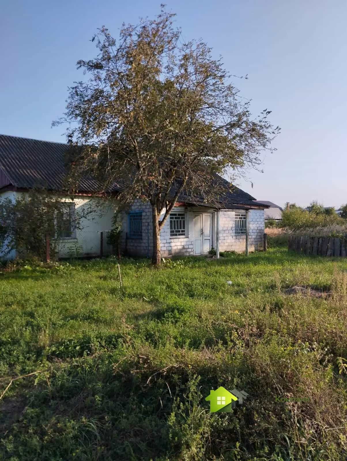 Беларусь, Гродненская область, Ивьевский сельсовет, агрогородок Морино, Центральная улица, 217, фото 4
