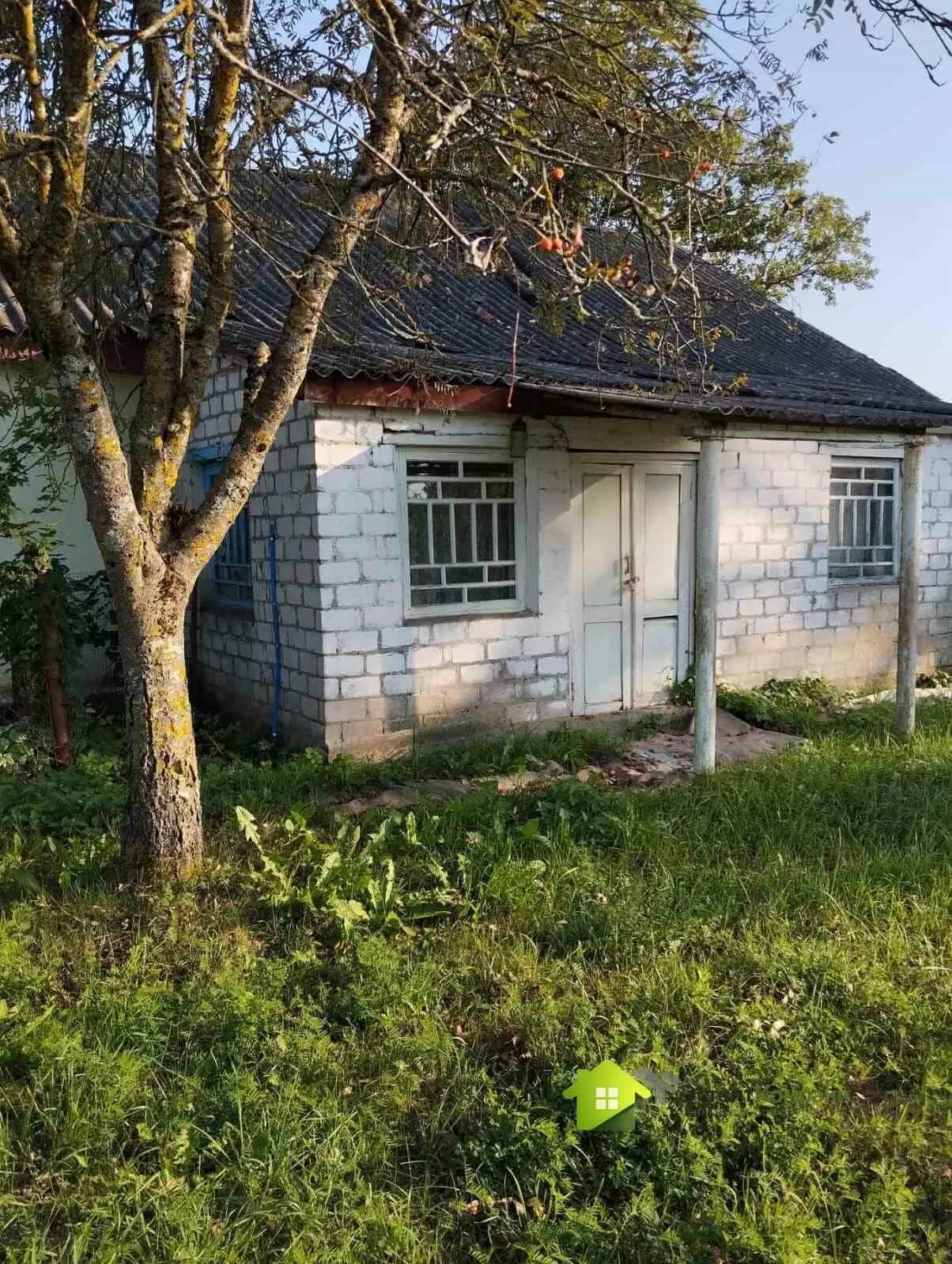 Беларусь, Гродненская область, Ивьевский сельсовет, агрогородок Морино, Центральная улица, 217, фото 15