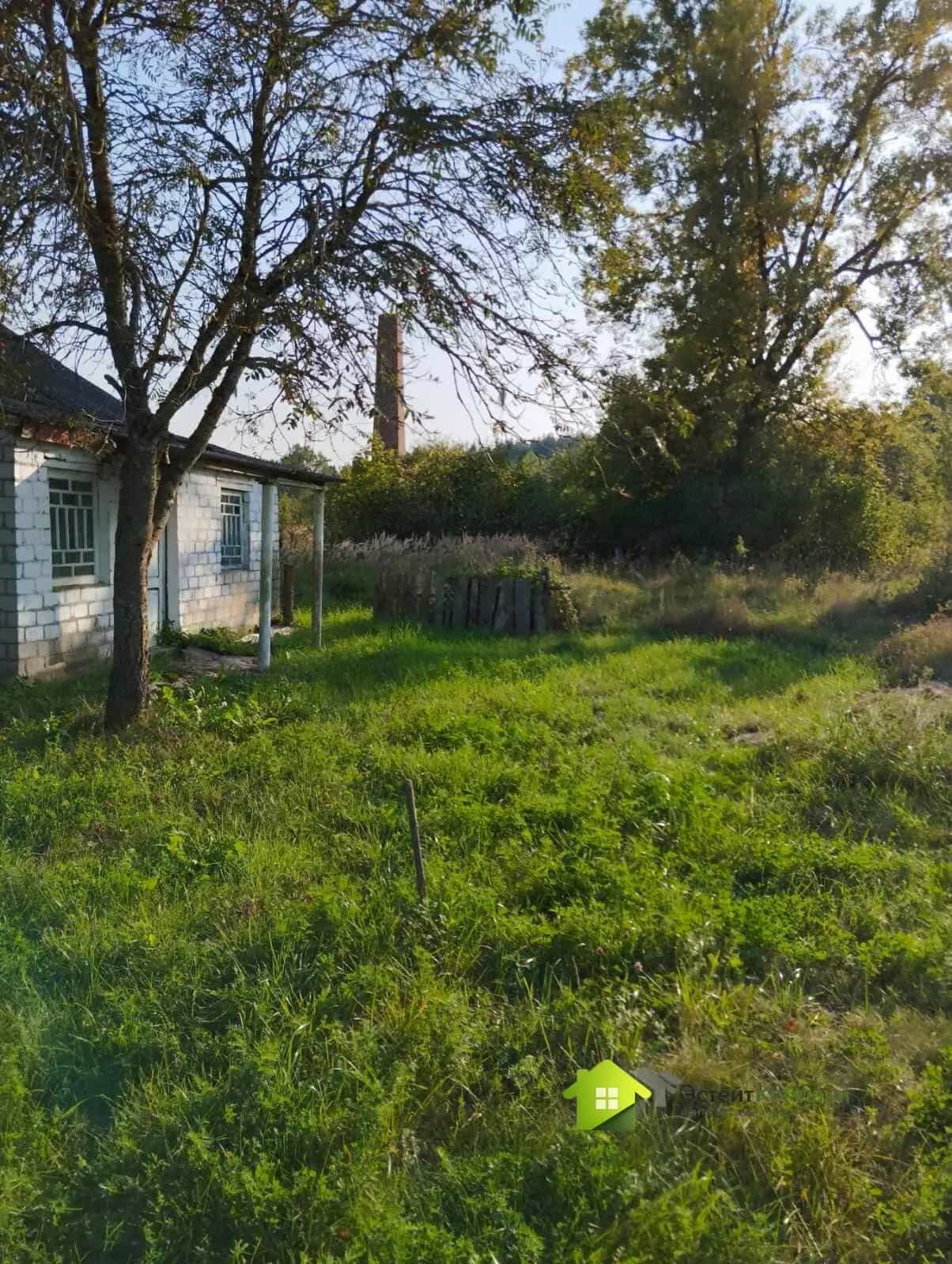 Беларусь, Гродненская область, Ивьевский сельсовет, агрогородок Морино, Центральная улица, 217, фото 16