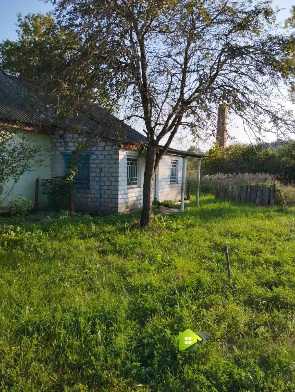 Беларусь, Гродненская область, Ивьевский сельсовет, агрогородок Морино, Центральная улица, 217, фото 17