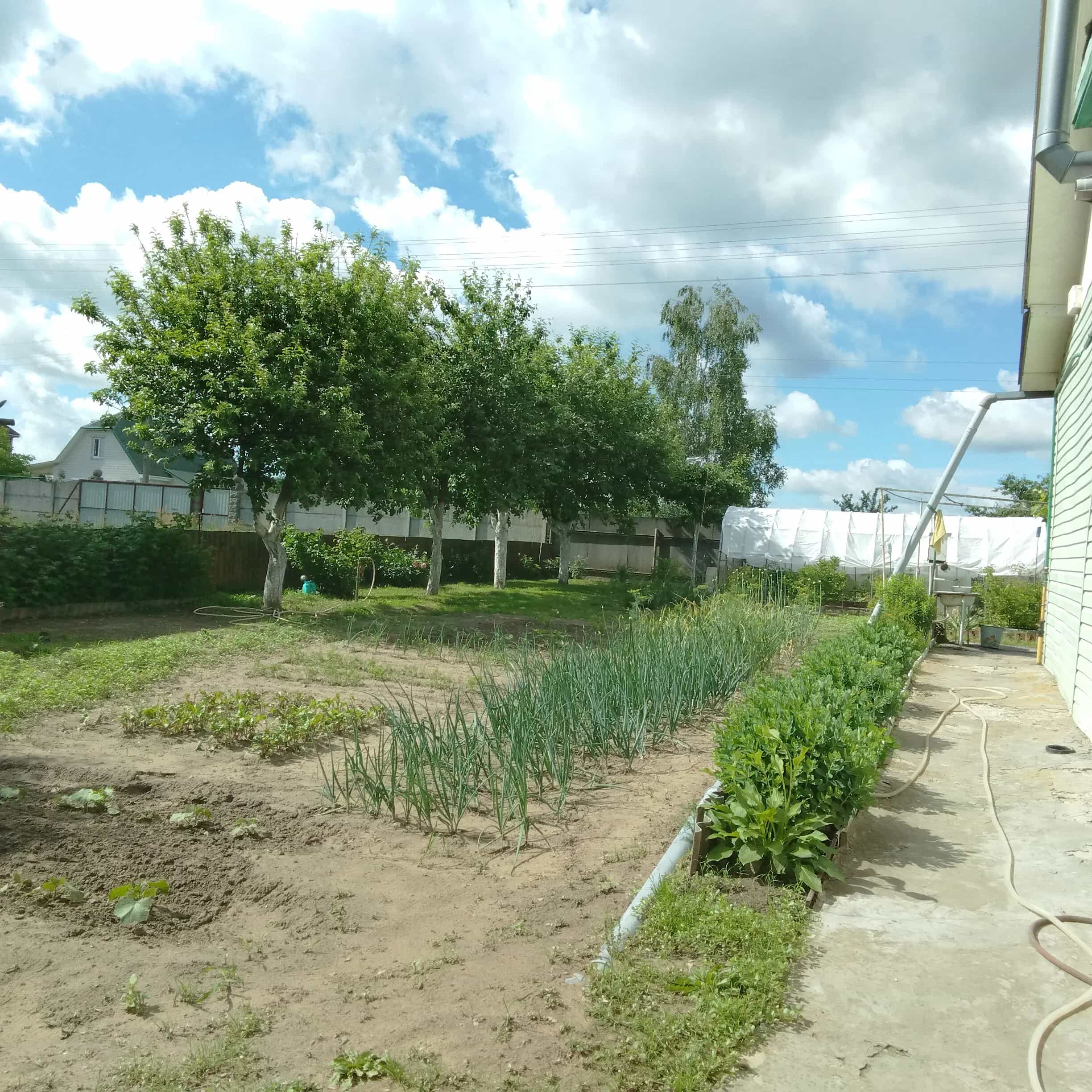 Беларусь, Гомельский район, агрогородок Бобовичи, Луговая улица, 29, фото 7