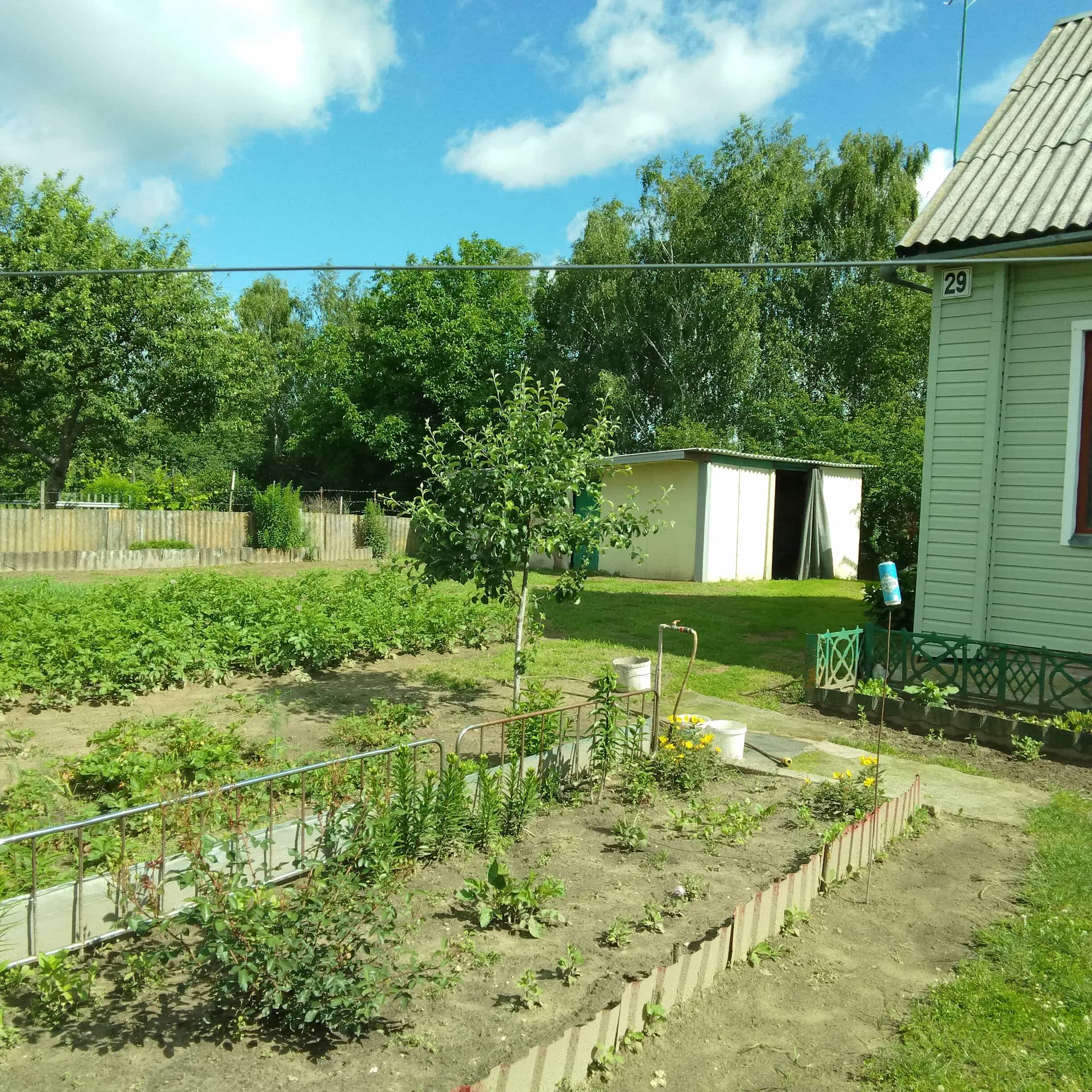 Беларусь, Гомельский район, агрогородок Бобовичи, Луговая улица, 29, фото 9