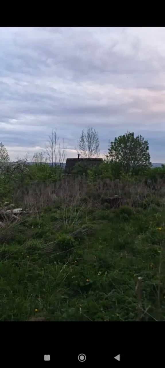 Беларусь, Минская область, Логойский сельсовет, деревня Мачужичи, 28, фото 6