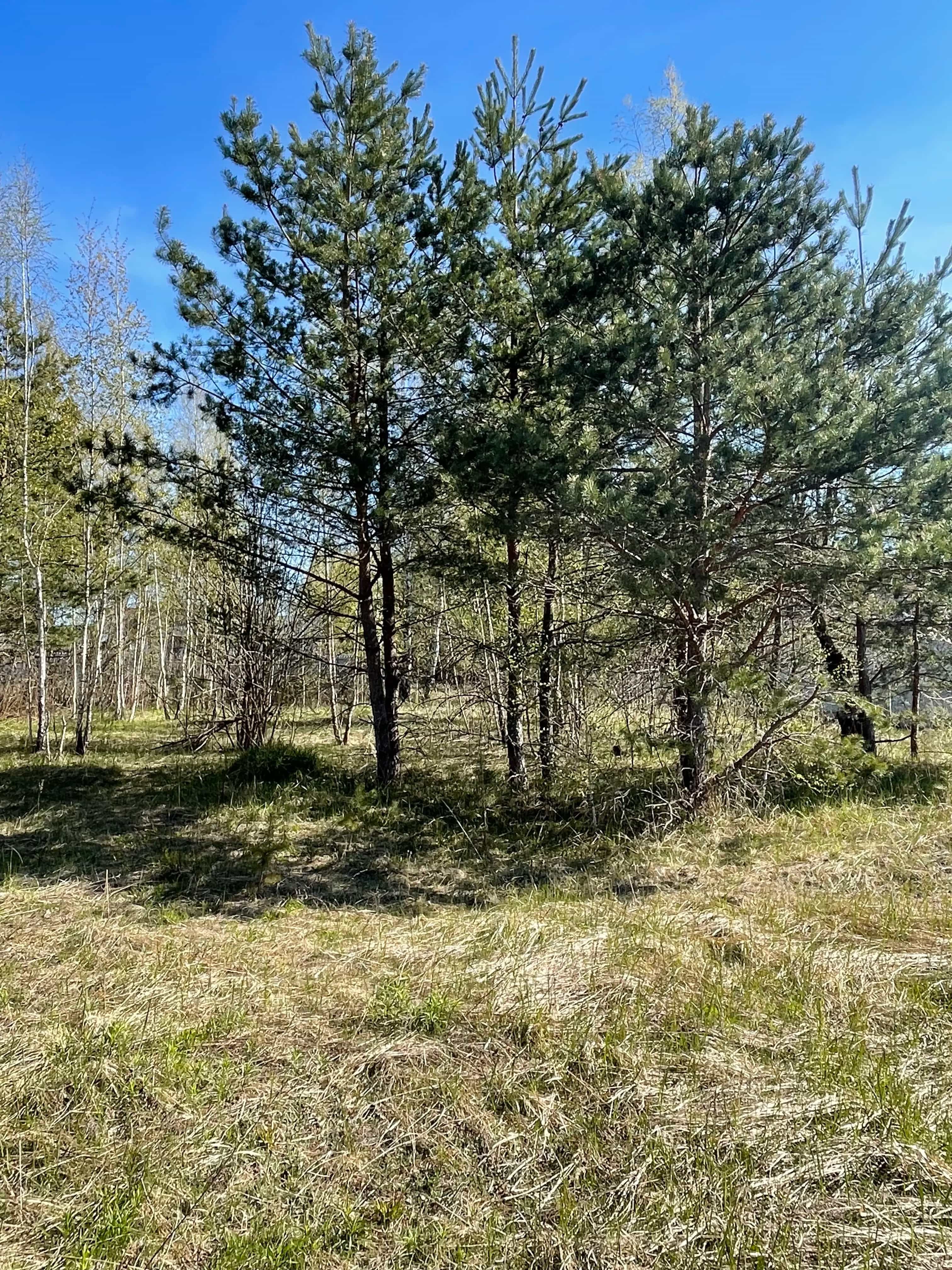 Беларусь, Минский район, агрогородок Колодищи, Пасхальный переулок, 5