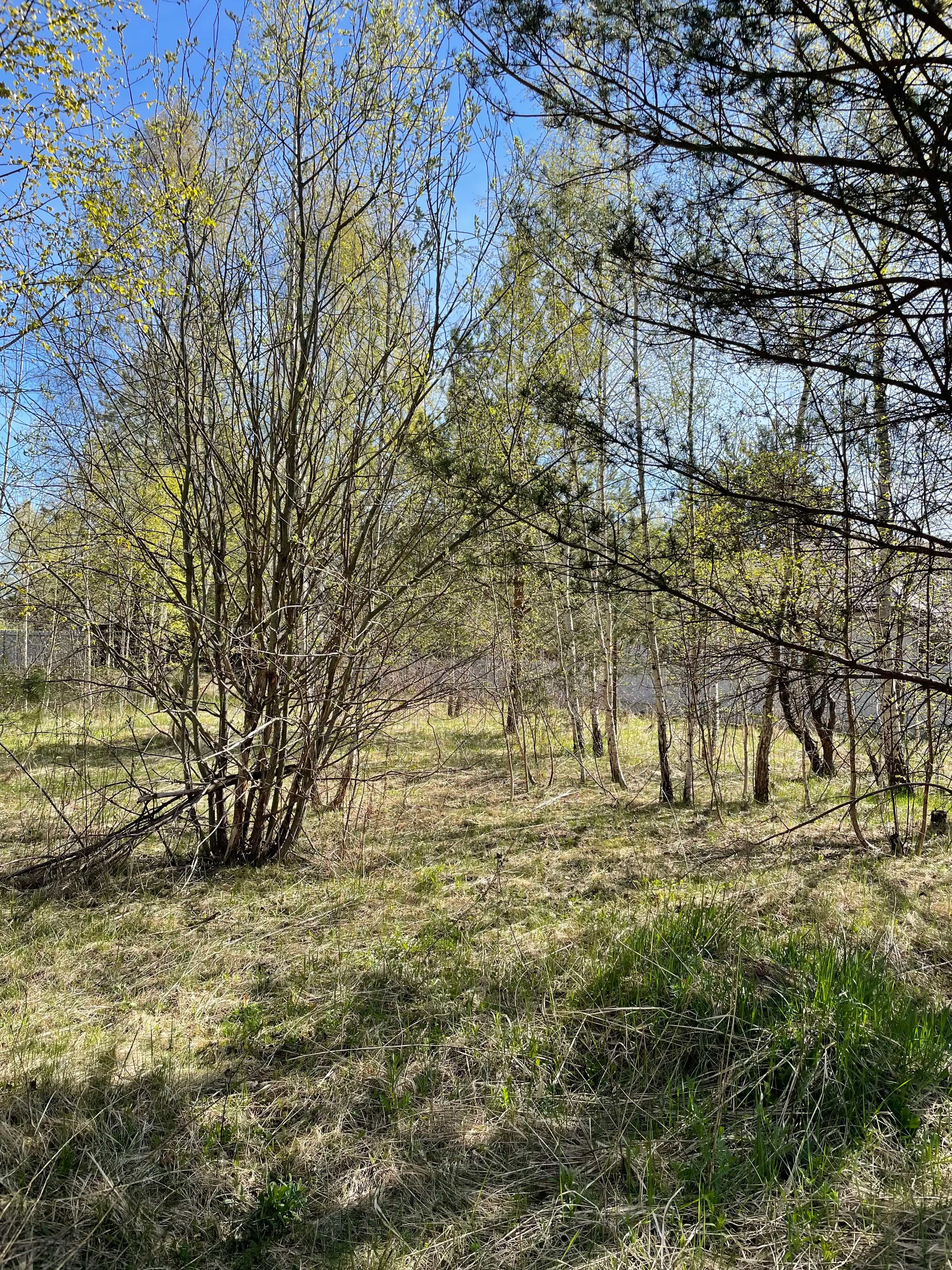 Беларусь, Минский район, агрогородок Колодищи, Пасхальный переулок, 5, фото 3