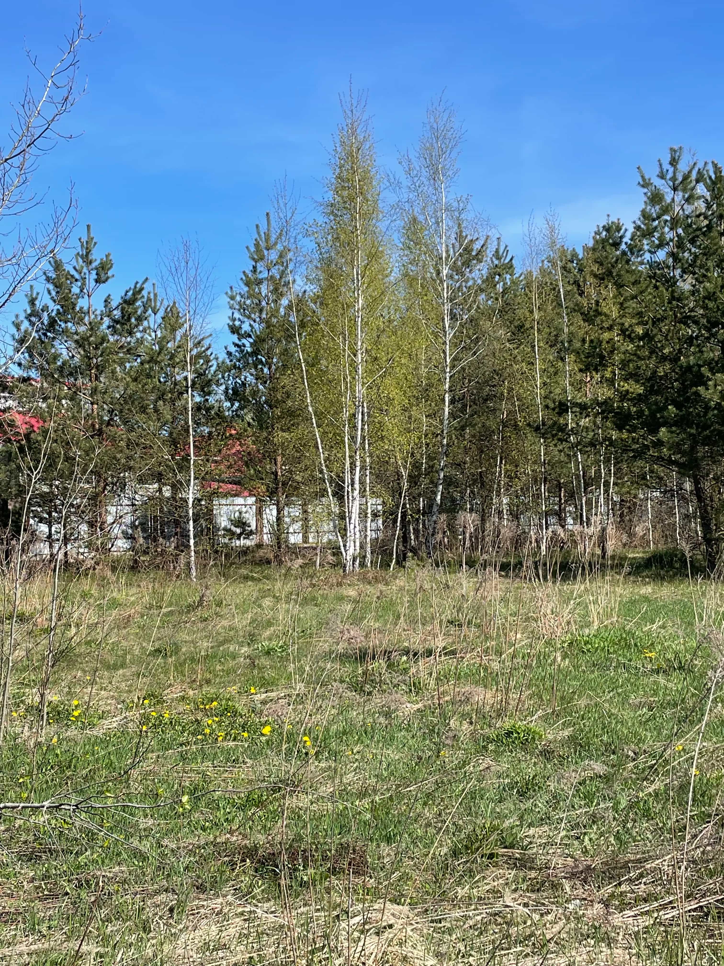 Беларусь, Минский район, агрогородок Колодищи, Пасхальный переулок, 5, фото 4
